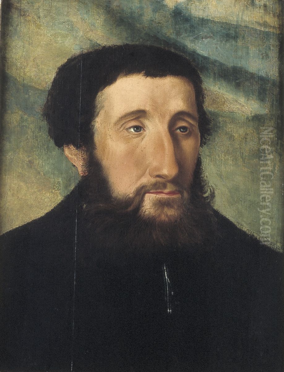 Portrait of a Man Oil Painting by Jan Cornelisz Vermeyen