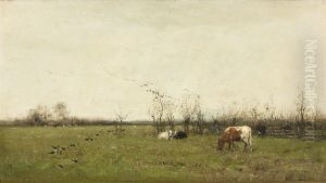 Weidelandschap