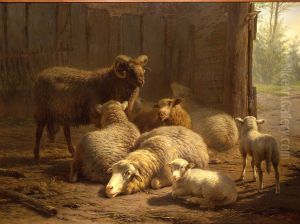 Stal met schapen