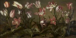 Een veldje met bloeiende tulpen