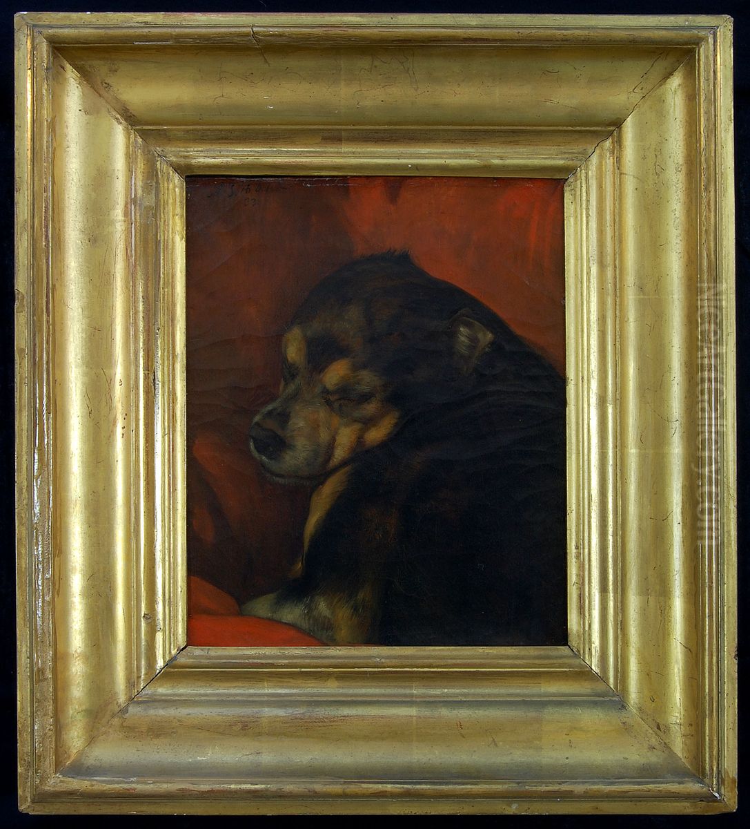Dog Study Oil Painting by Ary Scheffer
