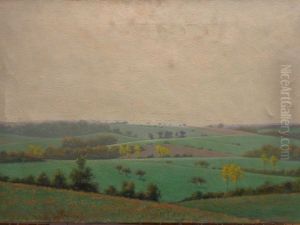 Heuvelachtig landschap