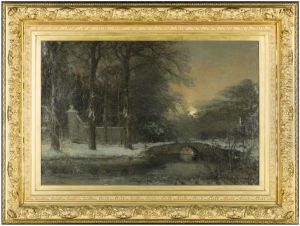 Sneeuwgezicht bij donker