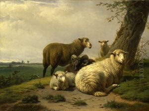 Landschap met schapen bij een boom