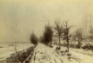 Sneeuwlandschap