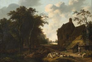 Zomers boslandschap