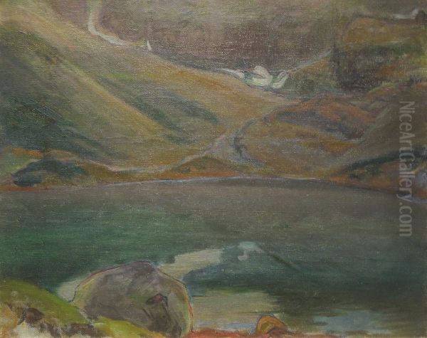 Black Pond in the Tatra Mountains Oil Painting by Wladyslaw Slewinski