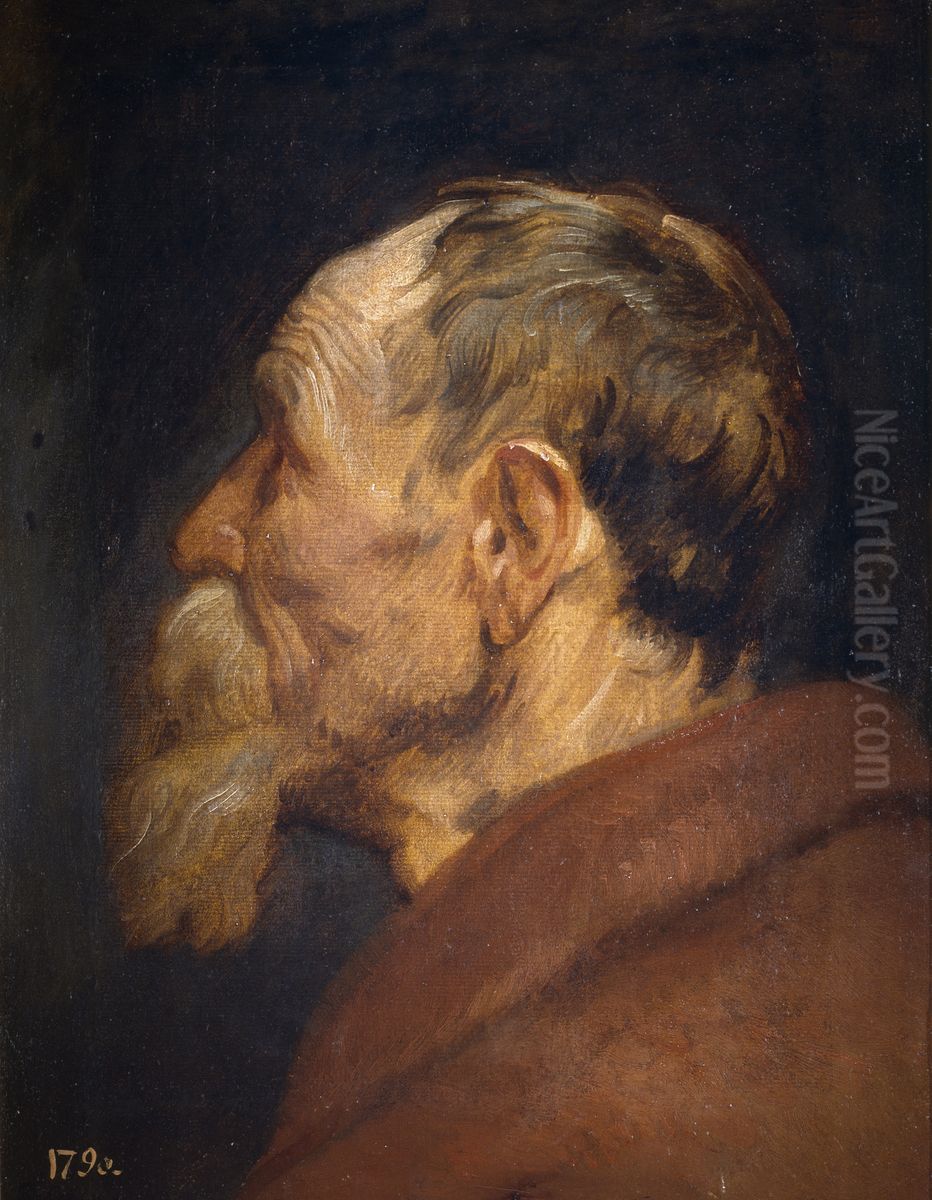 The Head of an Old Man Oil Painting by Sir Anthony Van Dyck