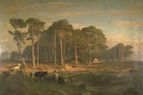 Sunset effect on fir trees Oil Painting by Joseph Van Luppen