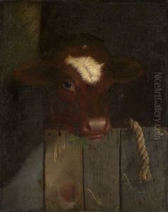The Family Cow (Calf's Head)
