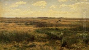Green Landscape
