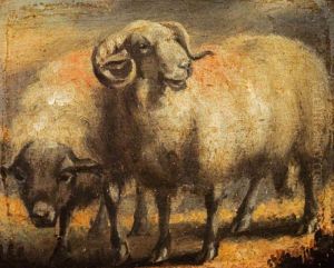 Sheep