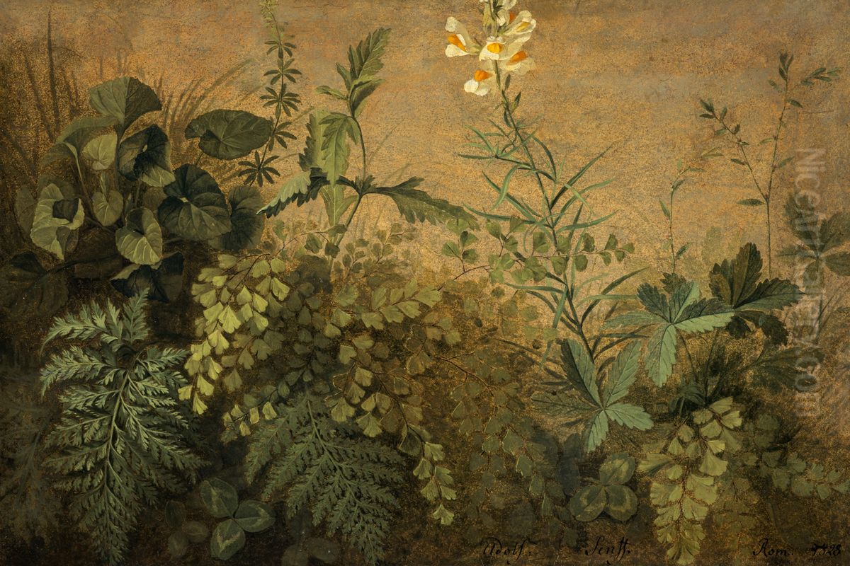 A Study of Plants Oil Painting by Adolf Senff