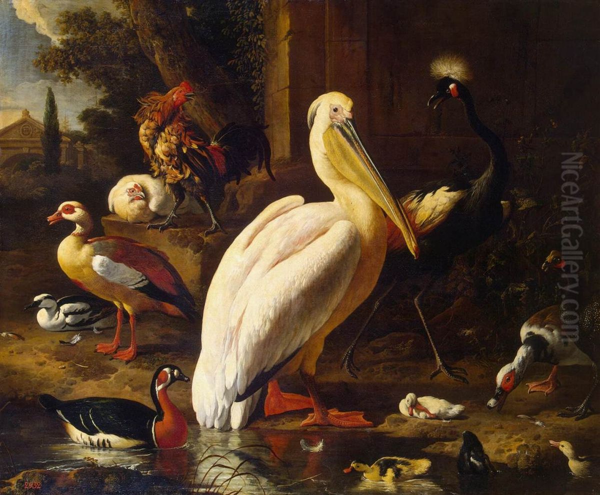 Des oiseaux dans un parc Oil Painting by Melchior D'Hondecoeter