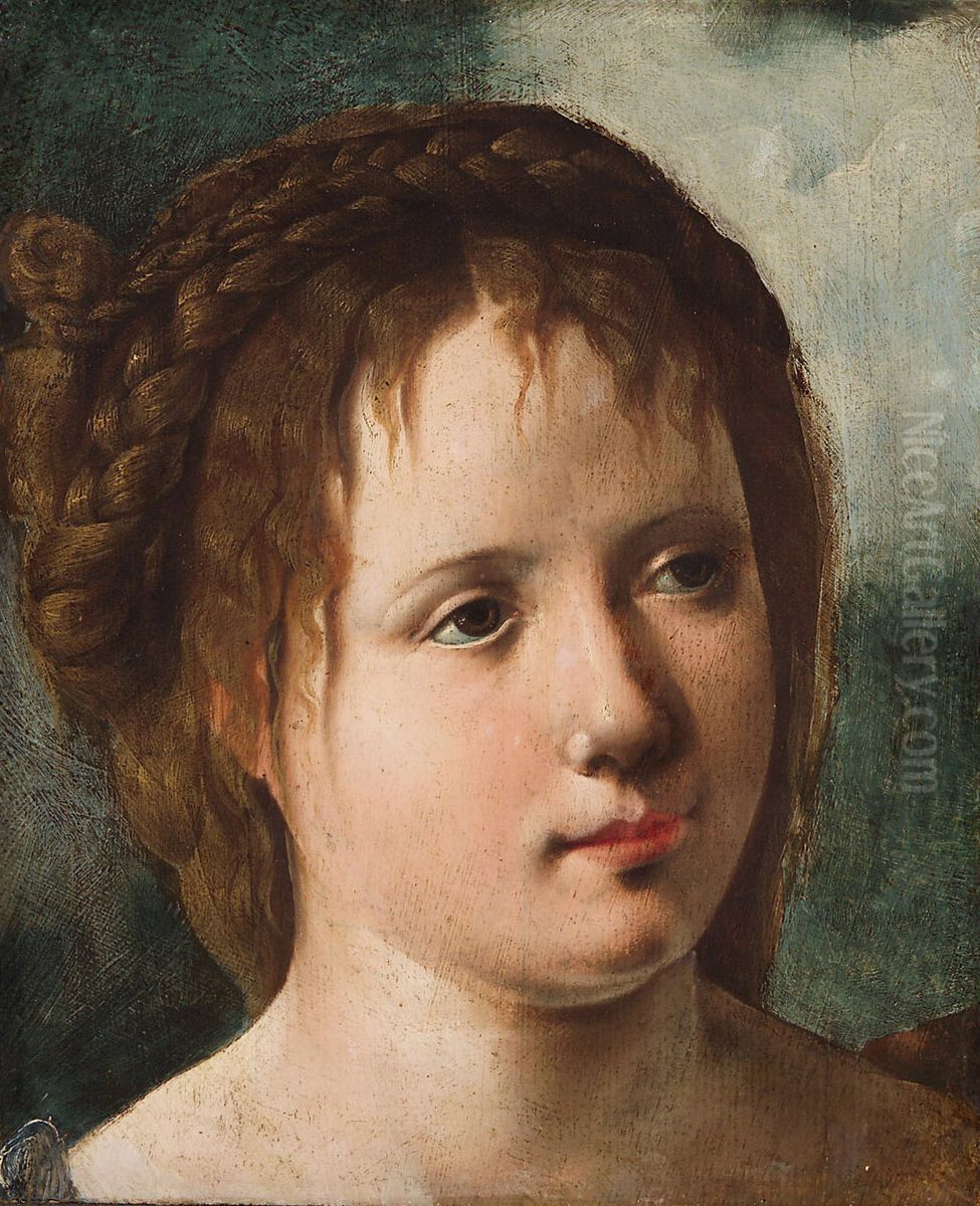 Madchenkopf Oil Painting by Jan Van Scorel Madchenkopf Oil Painting by Jan Van Scorel
