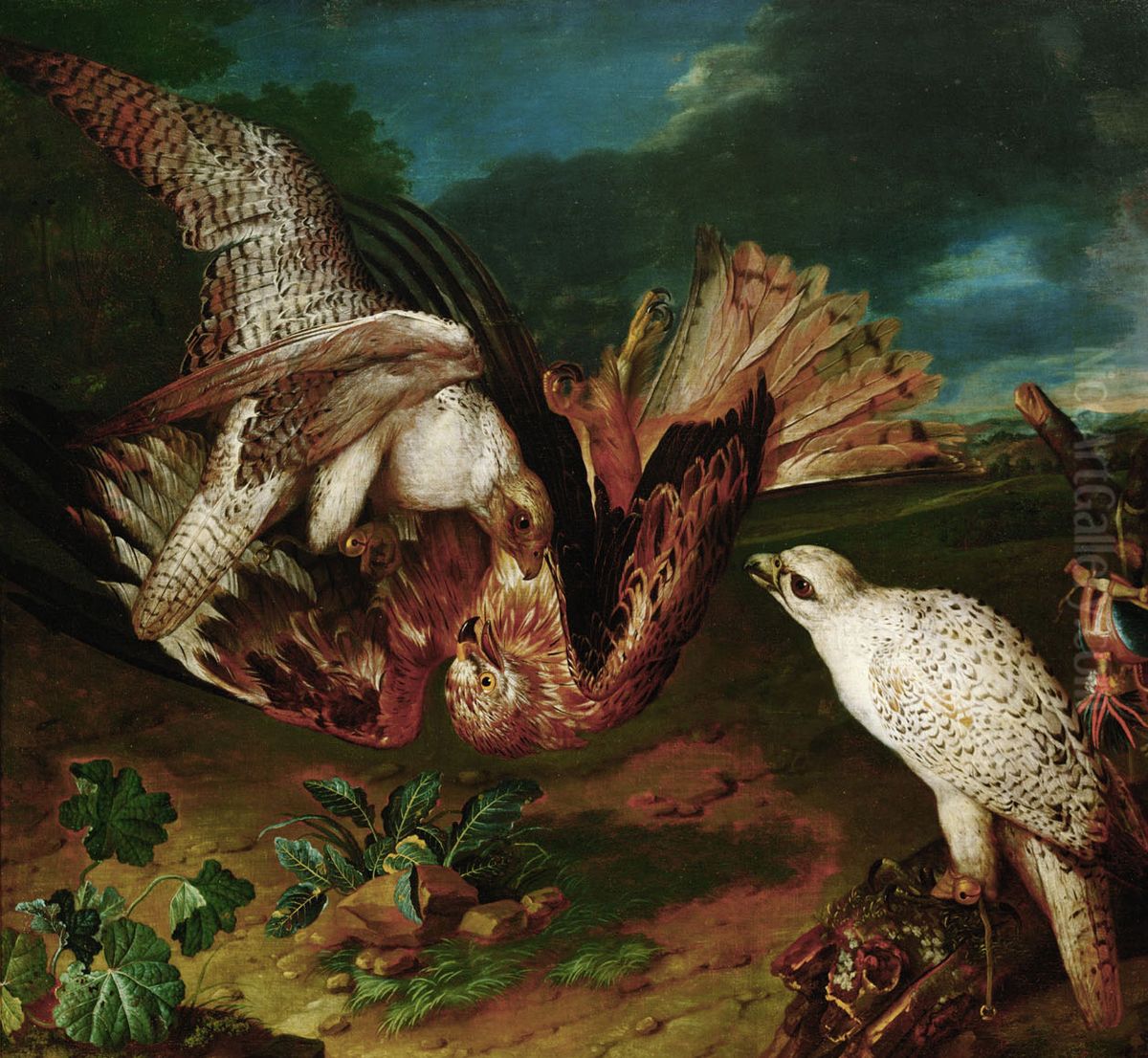 Kampfende Falken Oil Painting by Philipp Ferdinand de Hamilton
