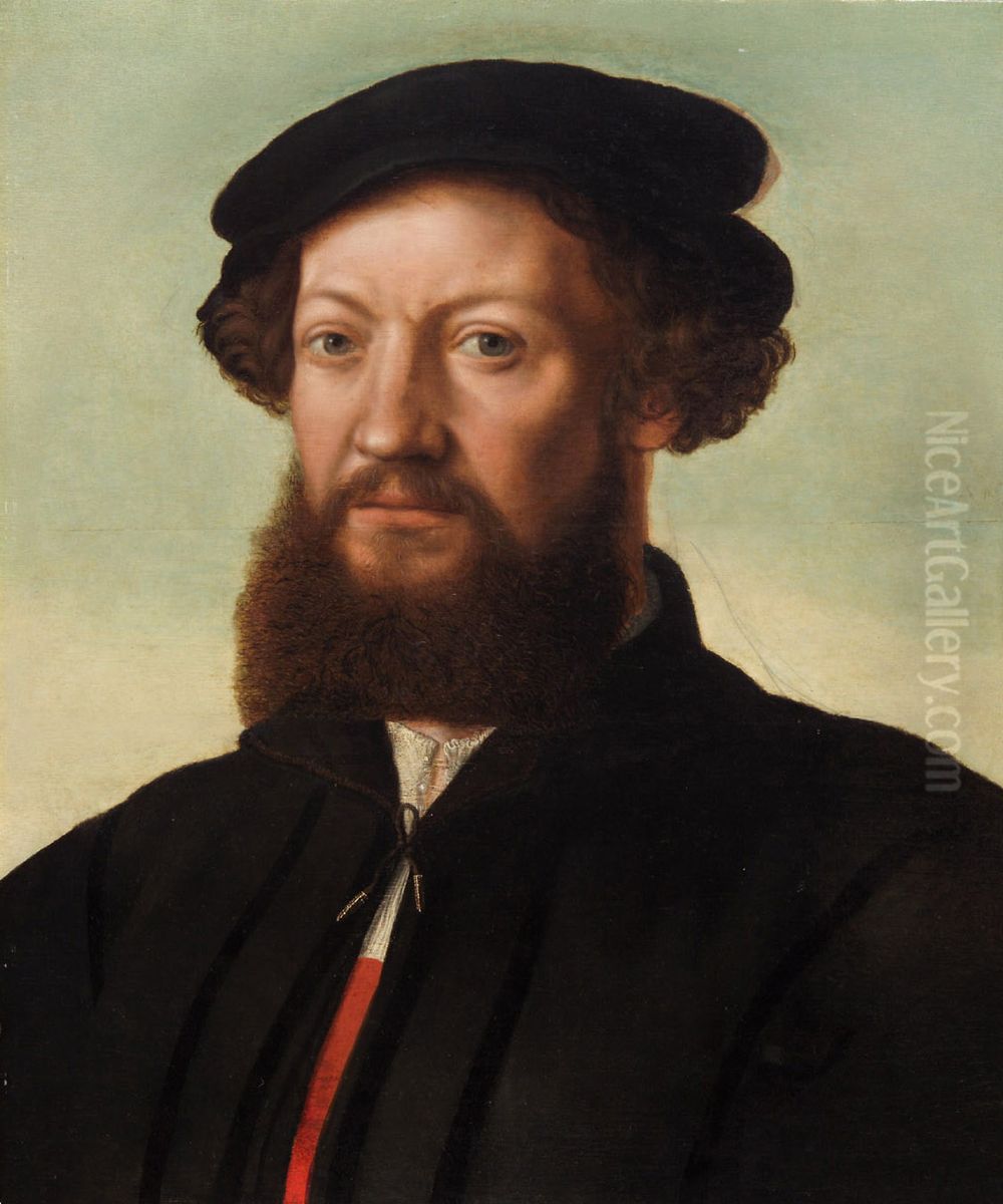 Portrait of a man Oil Painting by Jan Sanders Van Hemessen
