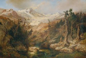 Rauriser Goldberggletscher