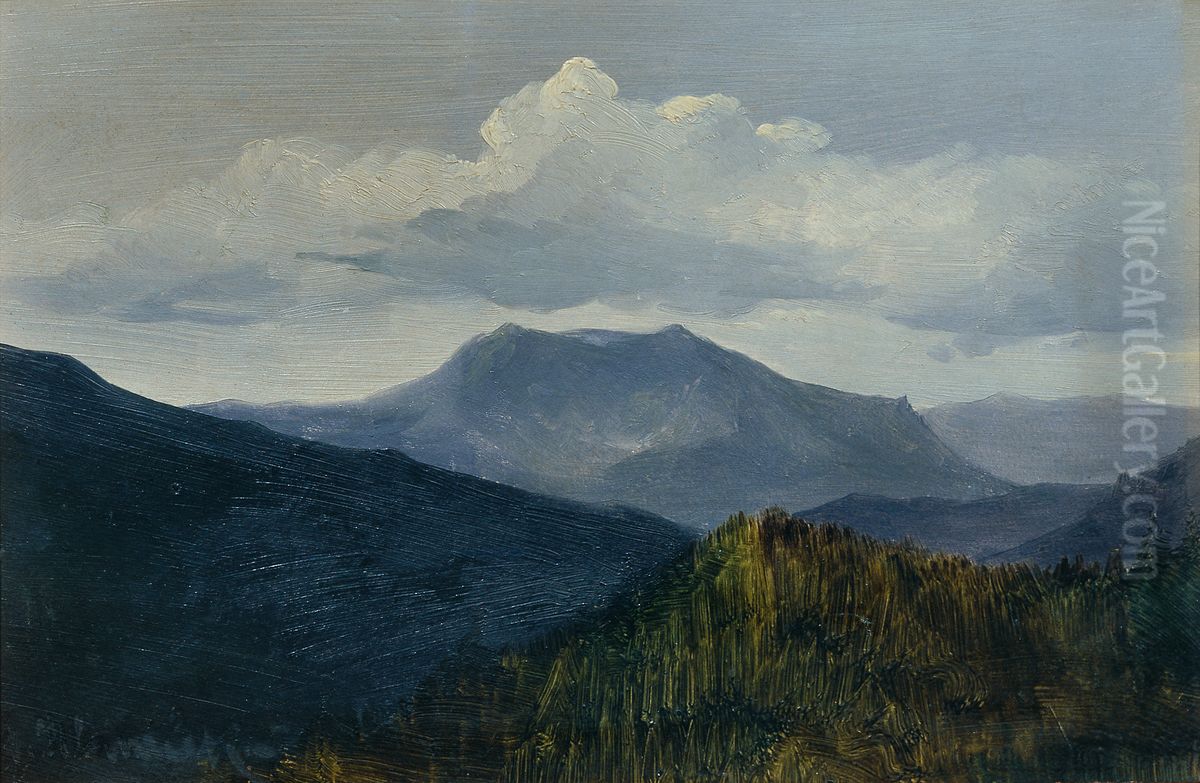 Der Schneeberg bei Gutenstein Oil Painting by Anton Hlavacek