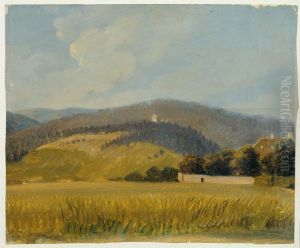 Landschaft bei Baden