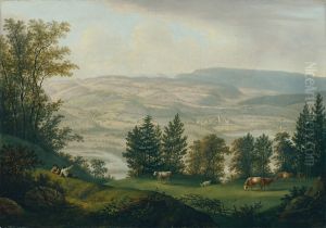 Umgebung der Ruine Habsburg