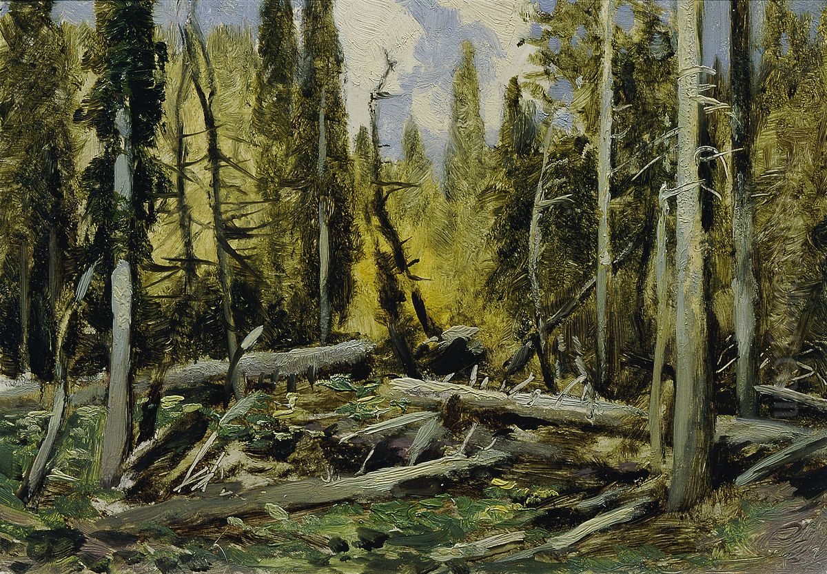 Bohmerwald (aus der Mappe ,,16 Ansichten tschechischer Landschaften 'Ceska Krajina'