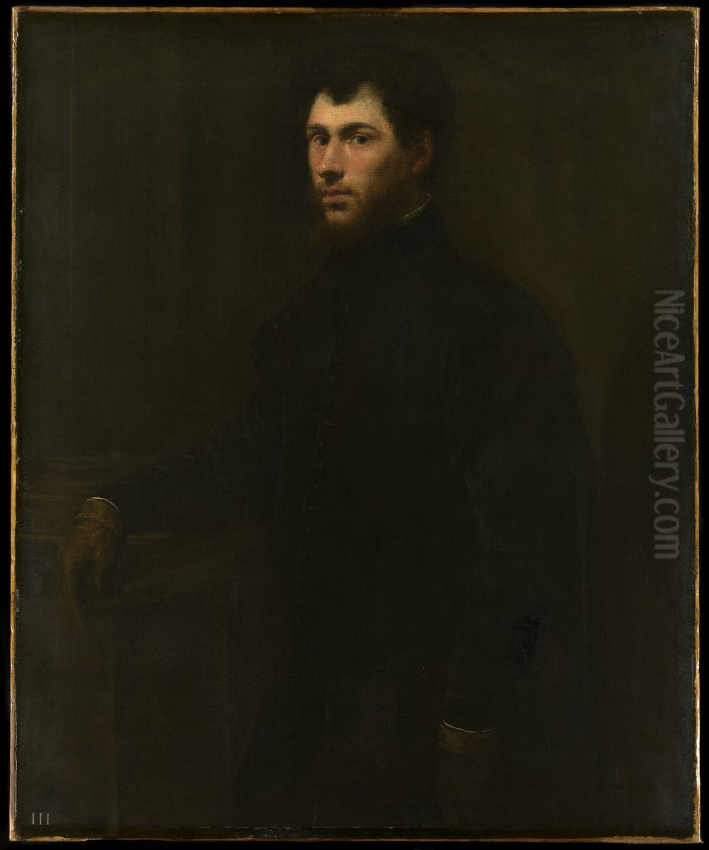 Portrait of a Young Man Oil Painting by Jacopo Tintoretto