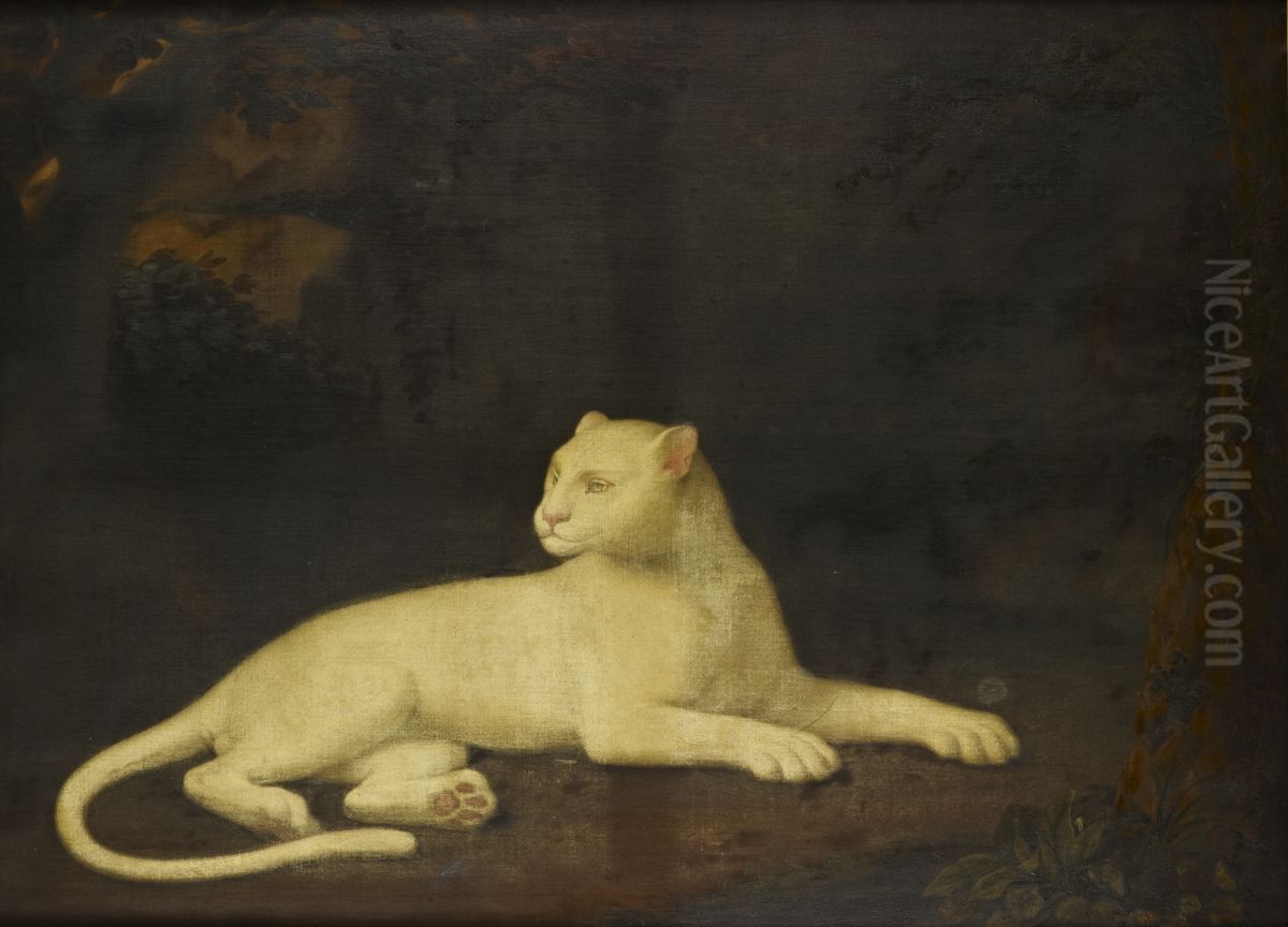 A White Leopard Oil Painting by Robert Home