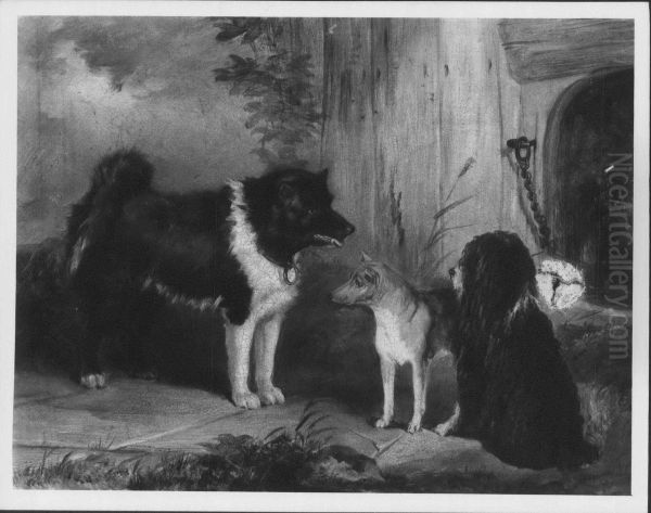 An Eskimo Dog, A Basenji from the Niger and Nelson, a Poodle Oil Painting by Thomas Musgrave Joy
