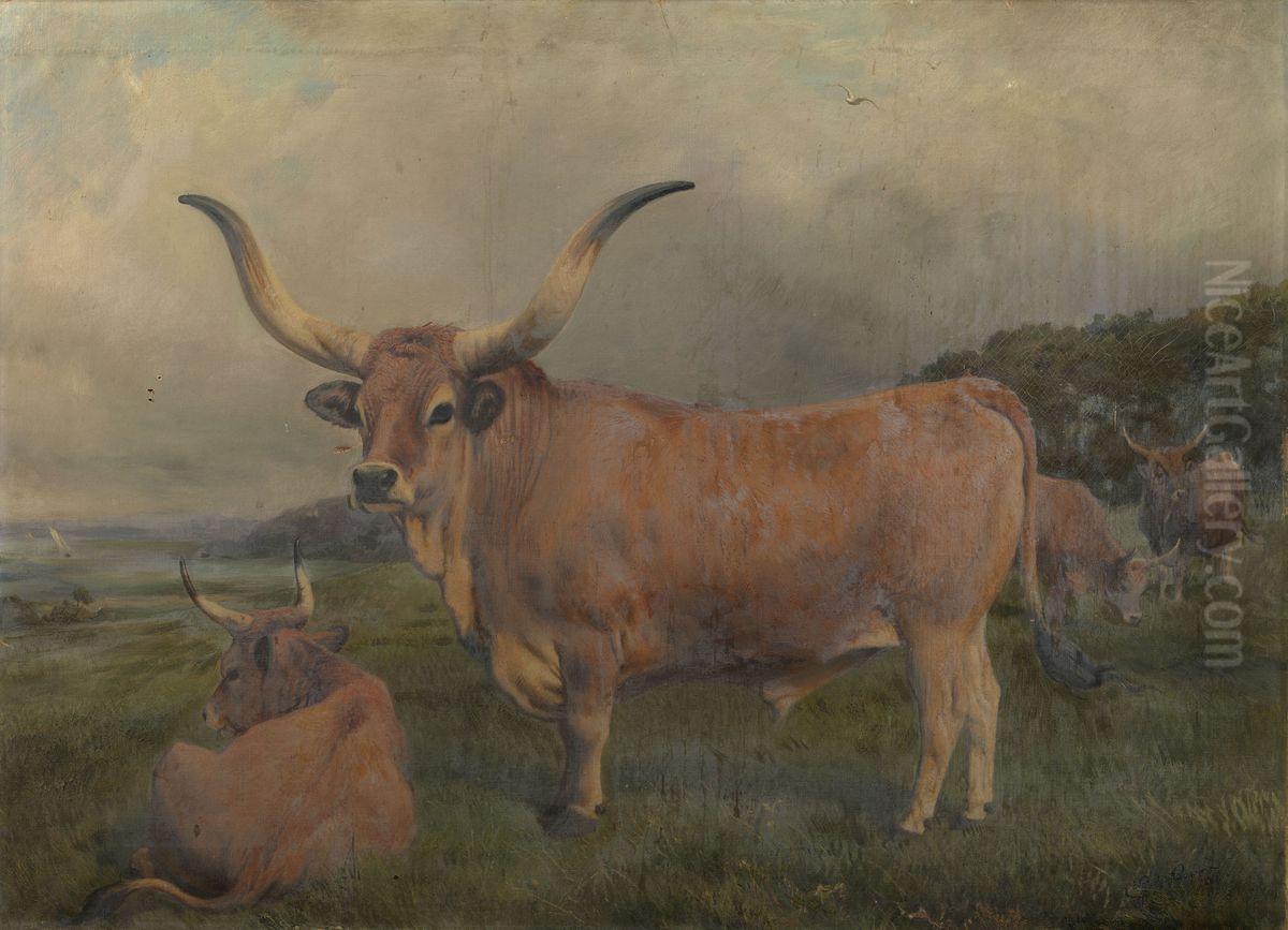 A group of Spanish Oxen Oil Painting by Charles Burton Barber
