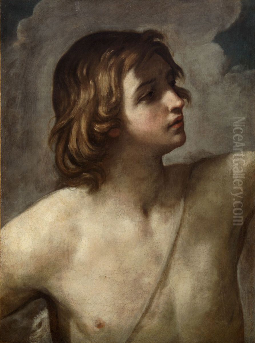The Young David Oil Painting by Guido Reni The Young David Oil Painting by Guido Reni