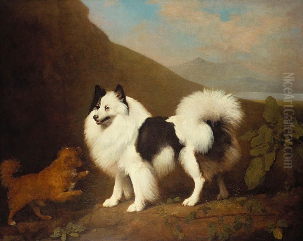 Fino and Tiny Oil Painting by George Stubbs