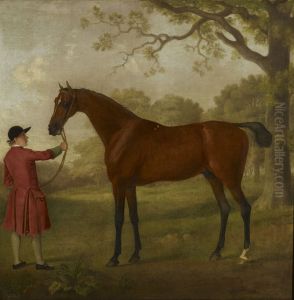 Portrait of a Horse