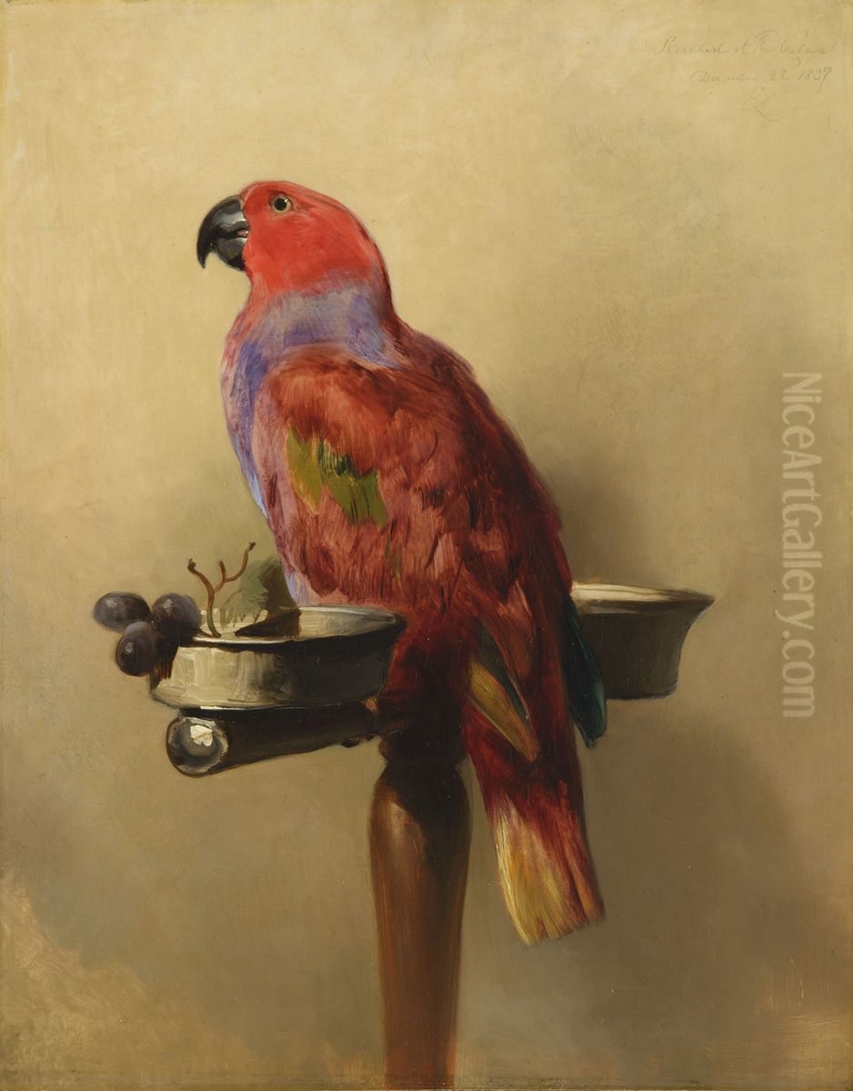 The Lory Oil Painting by Sir Edwin Henry Landseer The Lory Oil Painting by Sir Edwin Henry Landseer