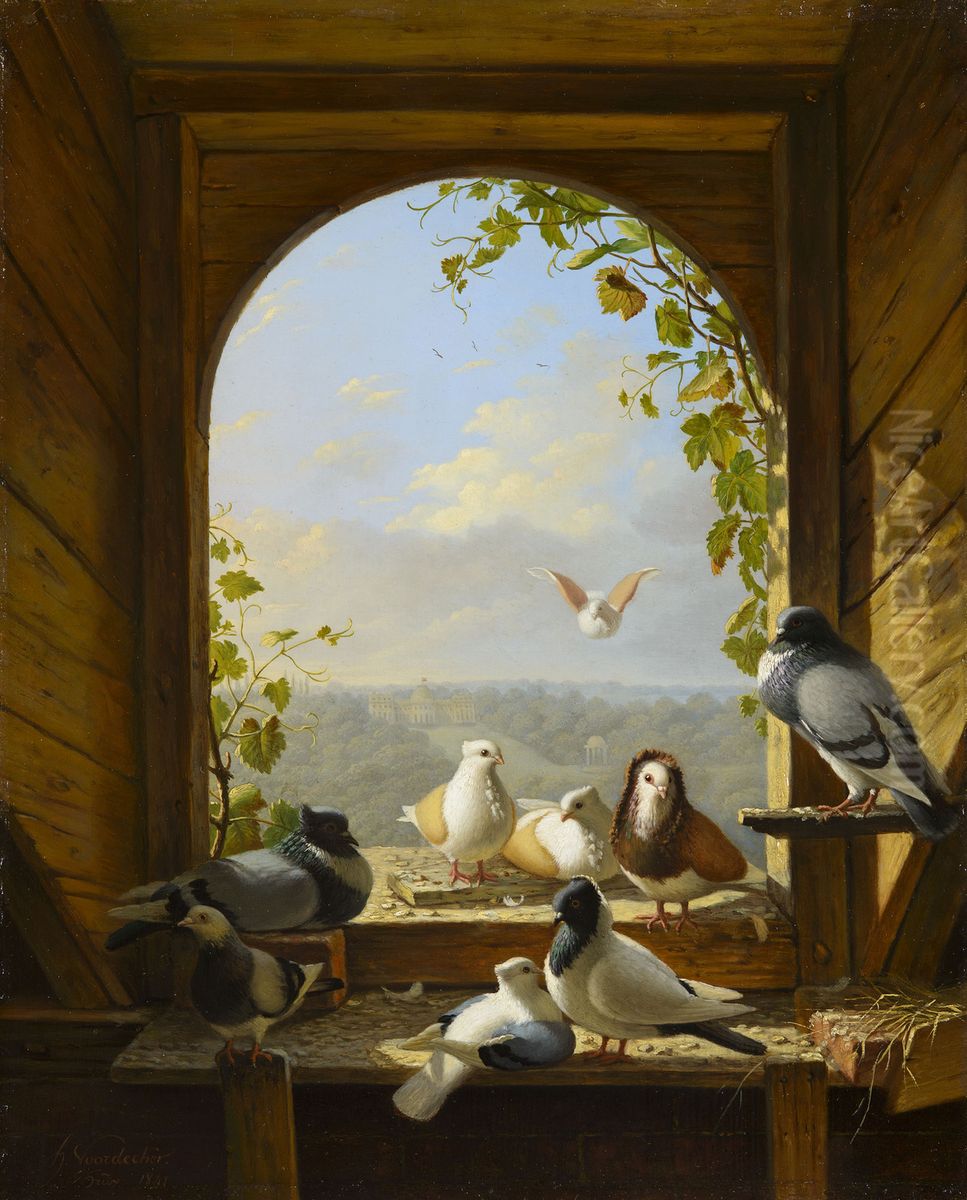 Pigeons Oil Painting by Henry Voordecker