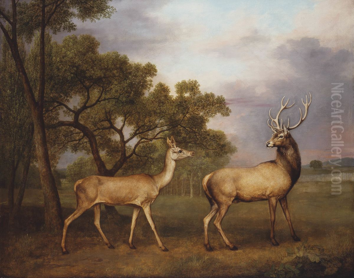 A Red Deer Buck and a Doe Oil Painting by George Stubbs