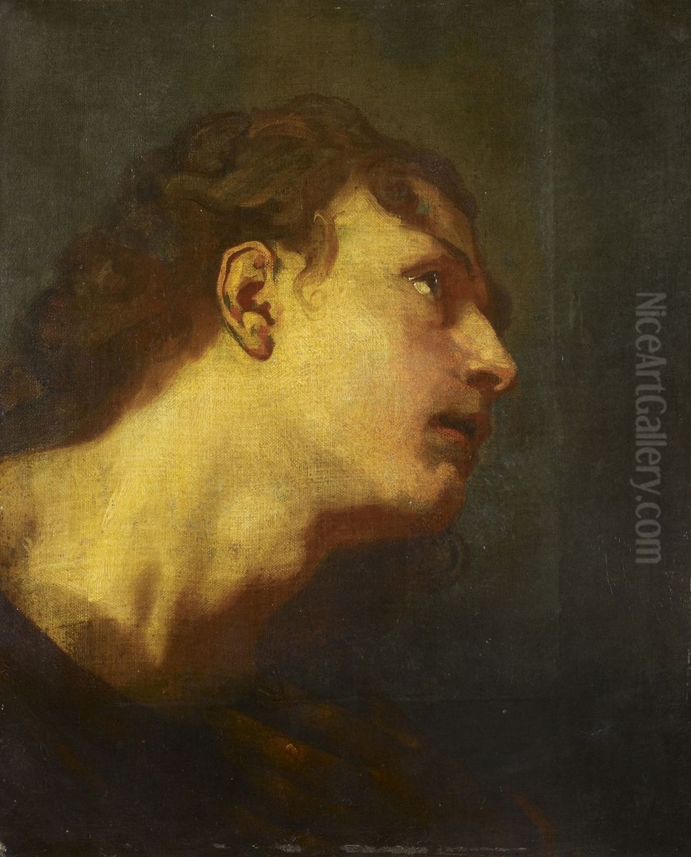 Head of a Young Man Oil Painting by Sir Anthony Van Dyck
