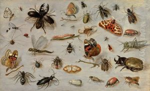 A Study of Butterflies, Moths, Spiders, and Insects