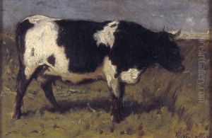 Koe
