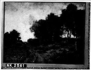 Landschap Landschap