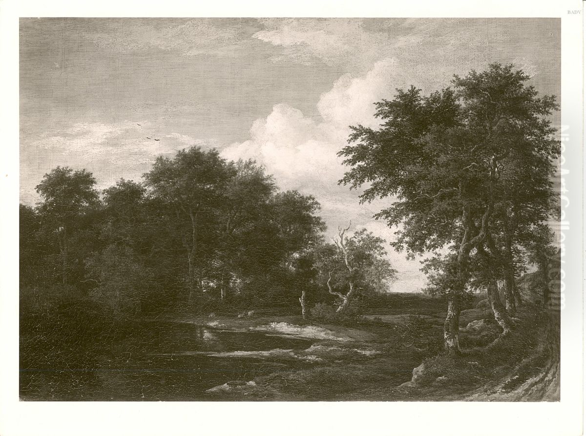 Forest landscape with pond Oil Painting by Jacob Van Ruisdael