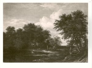Boslandschap met vijver