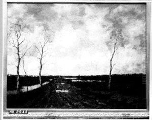 Moeraslandschap met modderige weg
