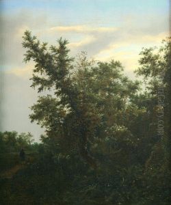 Bosgezicht