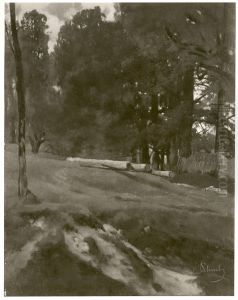 Waldlandschaft