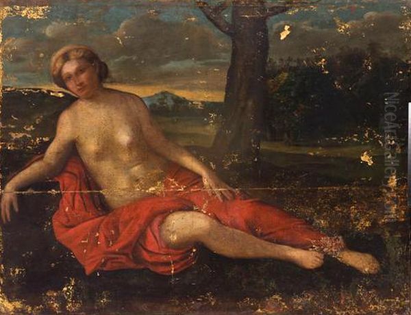 Venus in a Landscape Oil Painting by Palma Vecchio