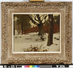 Boslandschap in de sneeuw