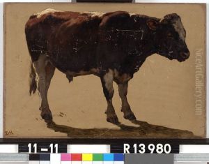 Studie van een stier