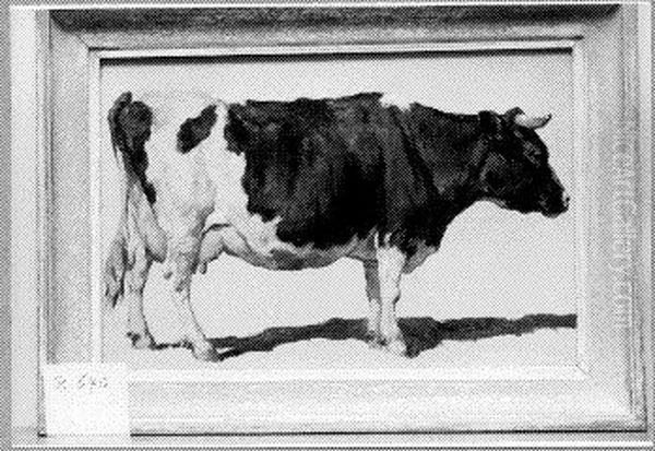 Studie van een koe Oil Painting by Johannes-Hubertus-Leonardus de Haas