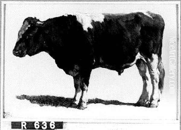 Studie van een stier Oil Painting by Johannes-Hubertus-Leonardus de Haas